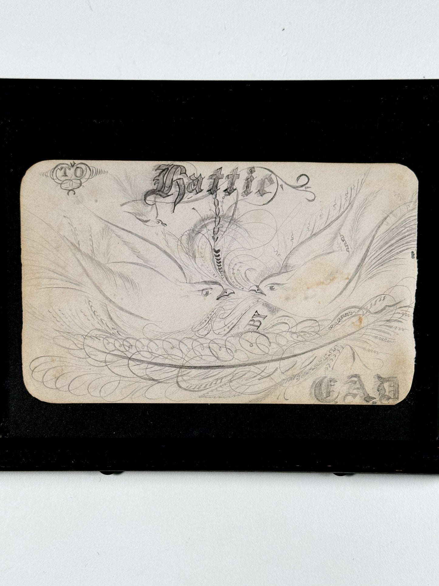 Hattie Pencil Drawing LoveBirds "Hattie"