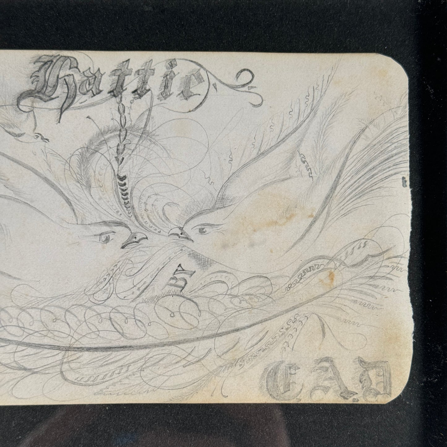 Hattie Pencil Drawing LoveBirds "Hattie"