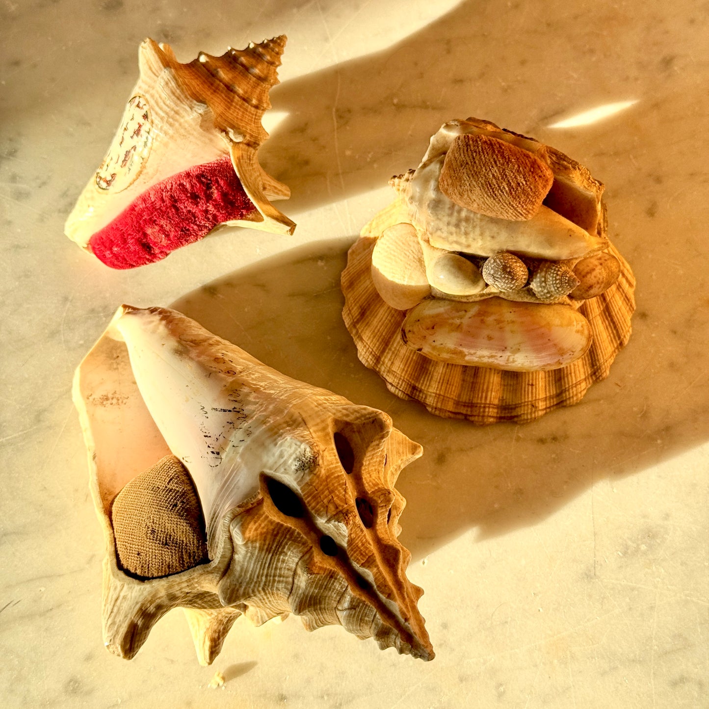 Vintage Souvenir Sea Shells Pincushions