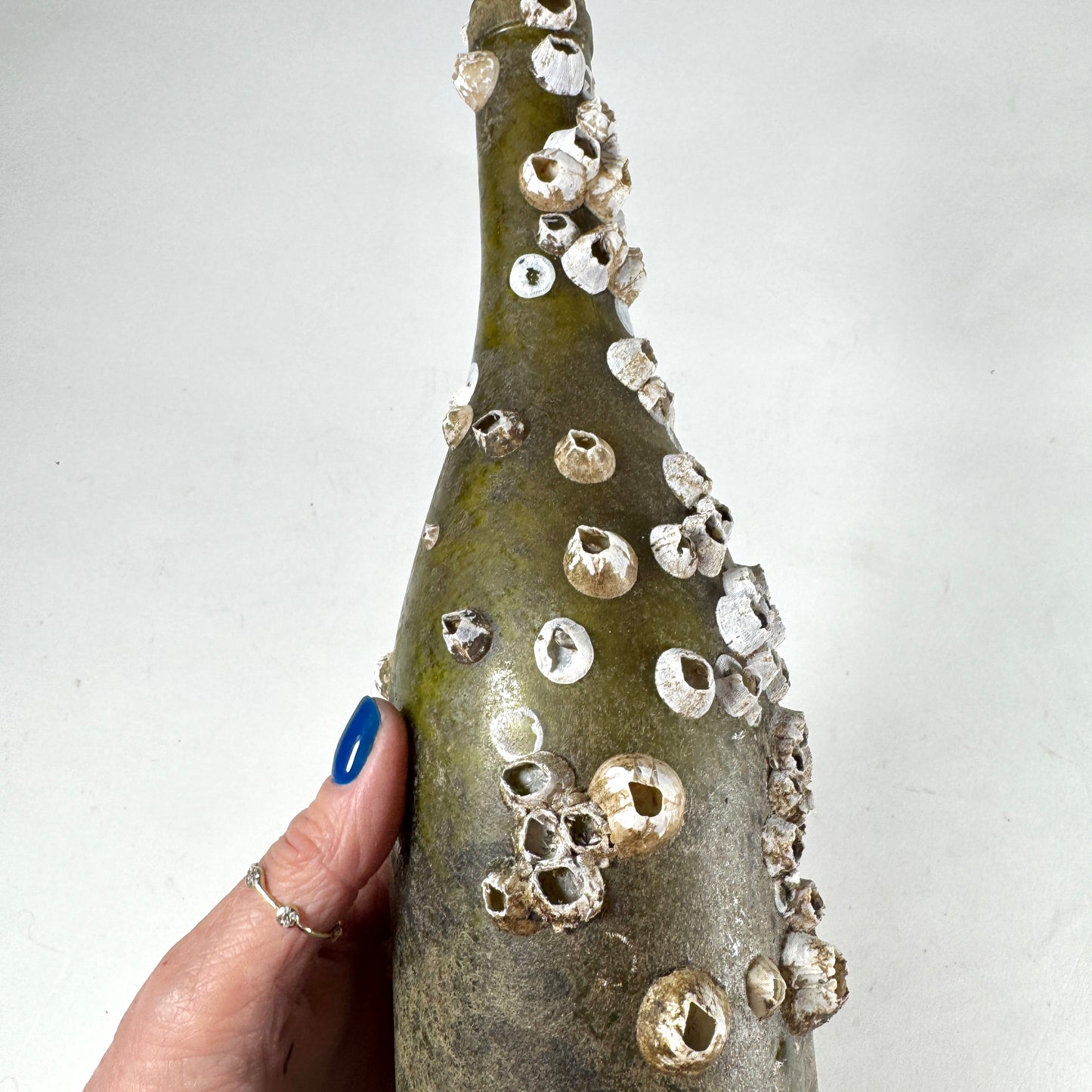 Barnacle Encrusted Bottle