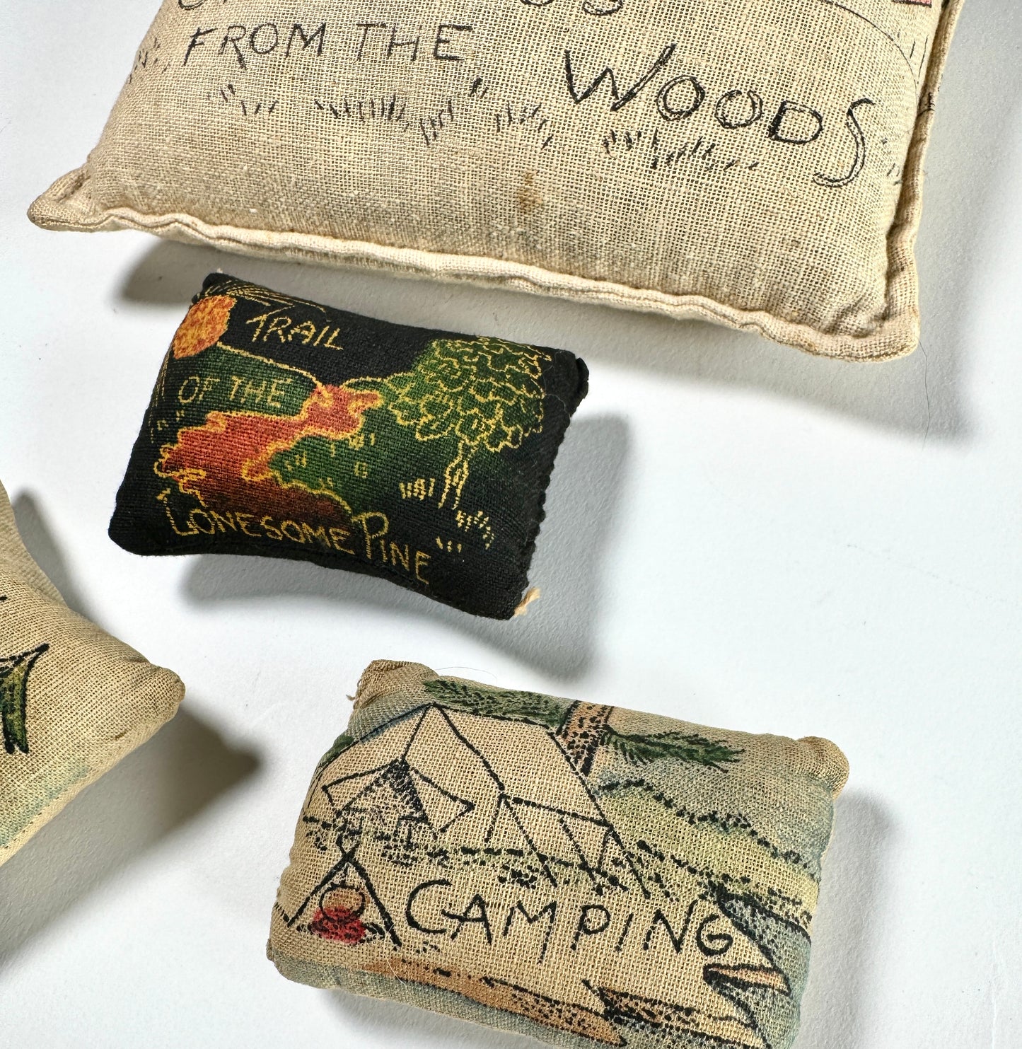 Vintage Linen Souvenir Pillow Nature Theme