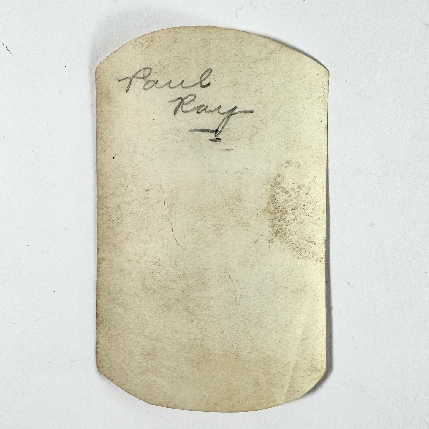 Vintage Photograph Man Tree Lumberjack