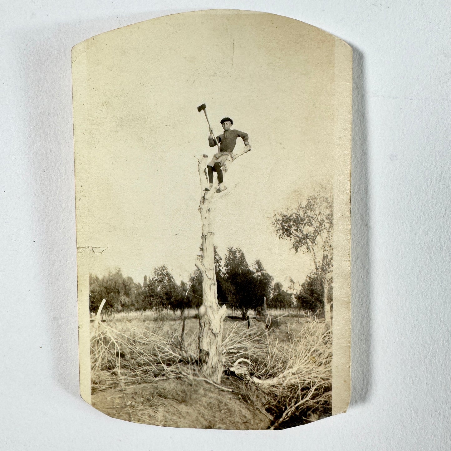 Vintage Photograph Man Tree Lumberjack