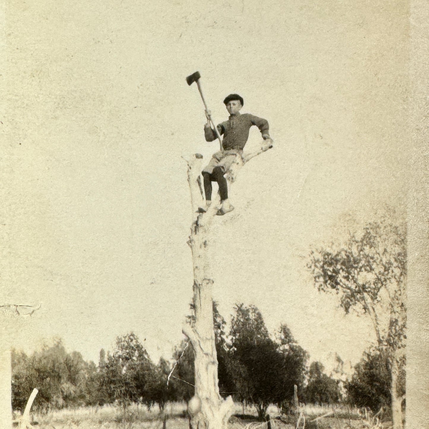 Vintage Photograph Man Tree Lumberjack