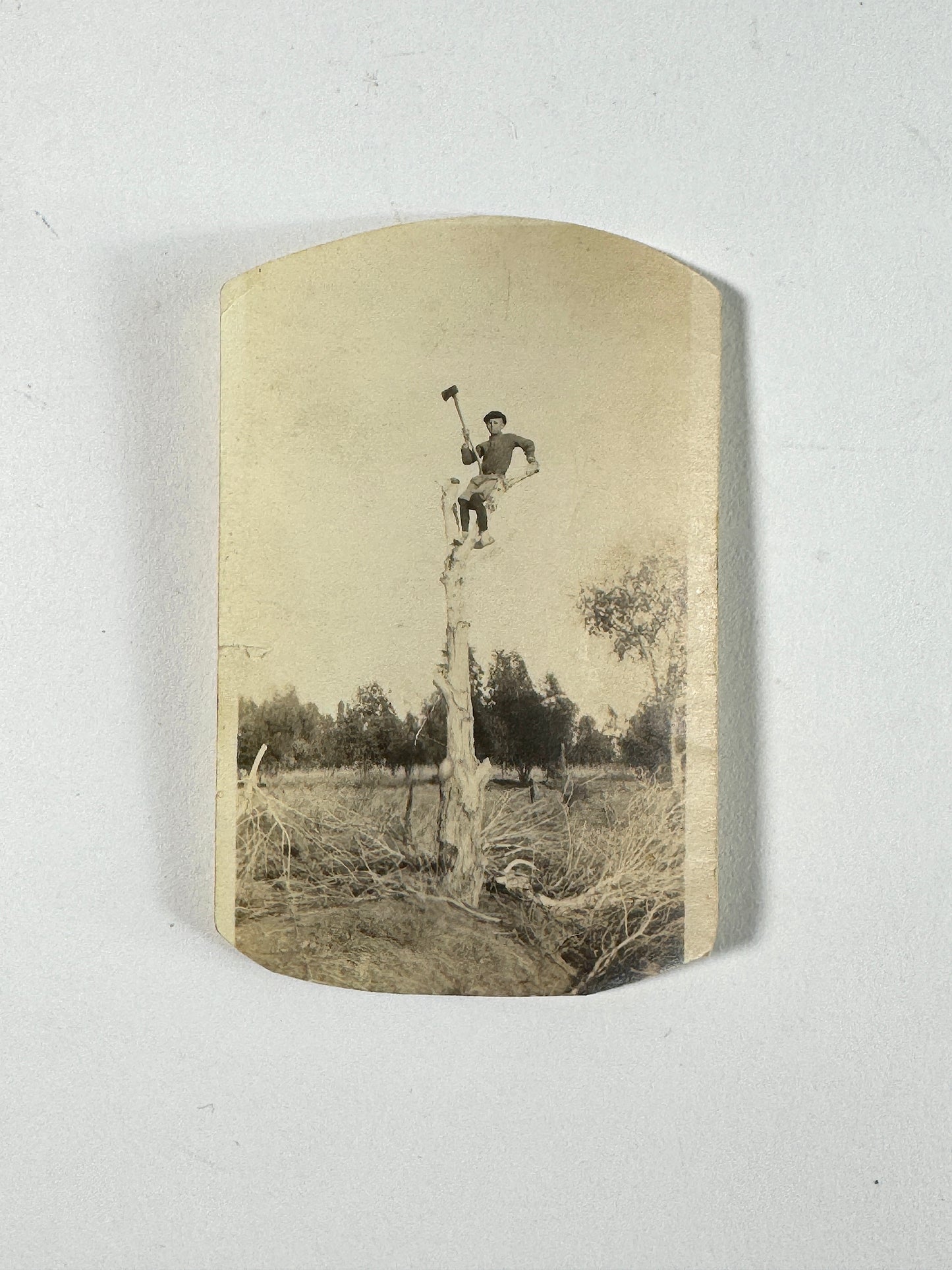 Vintage Photograph Man Tree Lumberjack