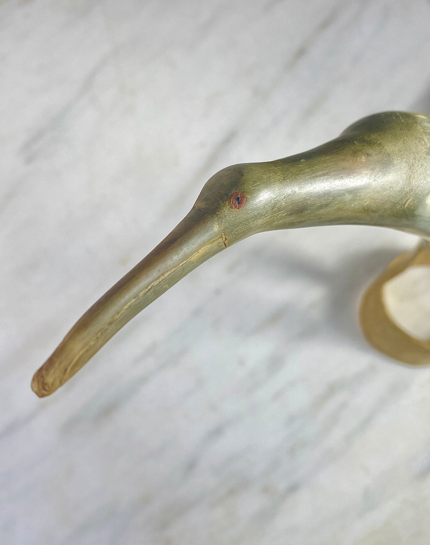 Long Legged Egret Heron Horn