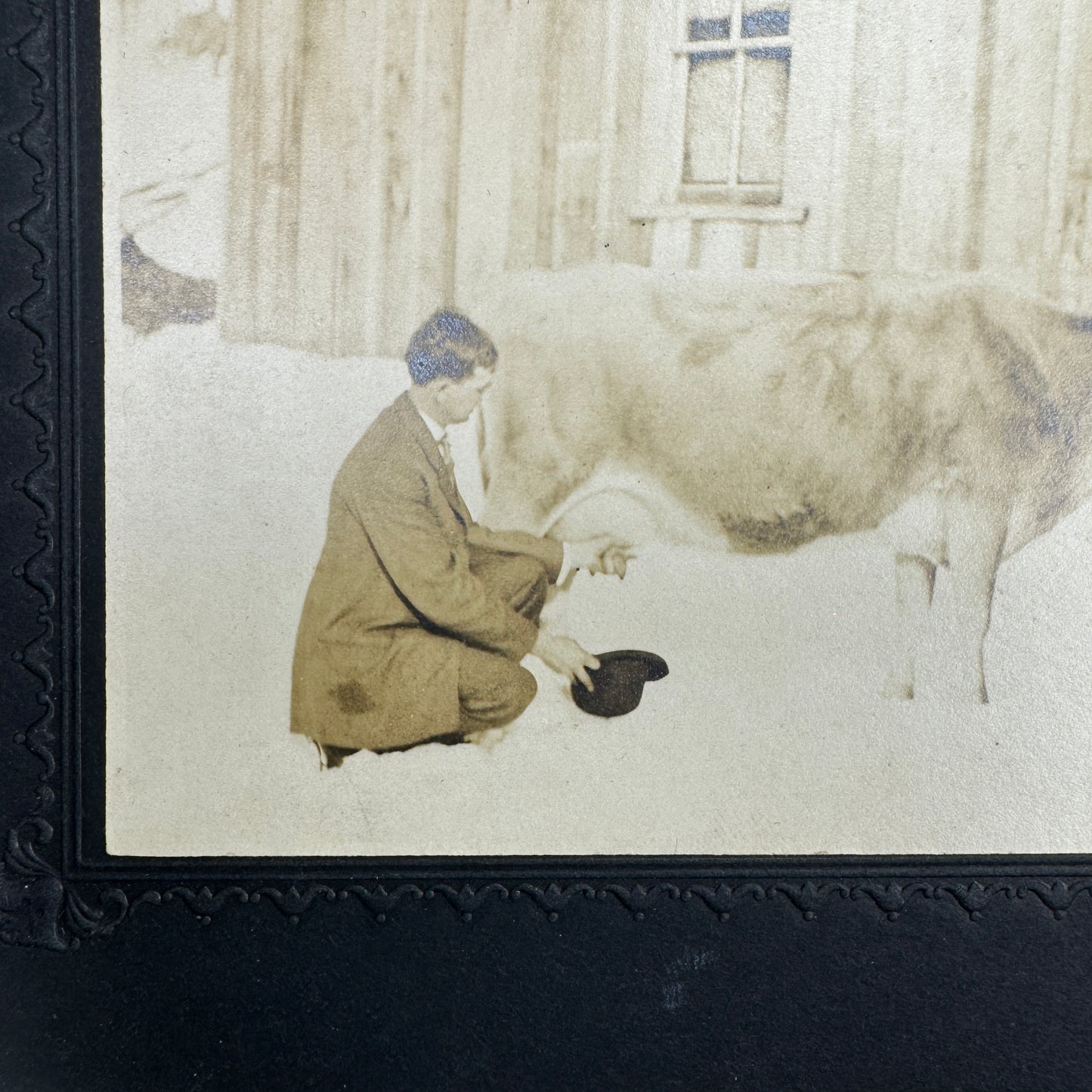 Vintage Photograph Man Milking Cow with Hat