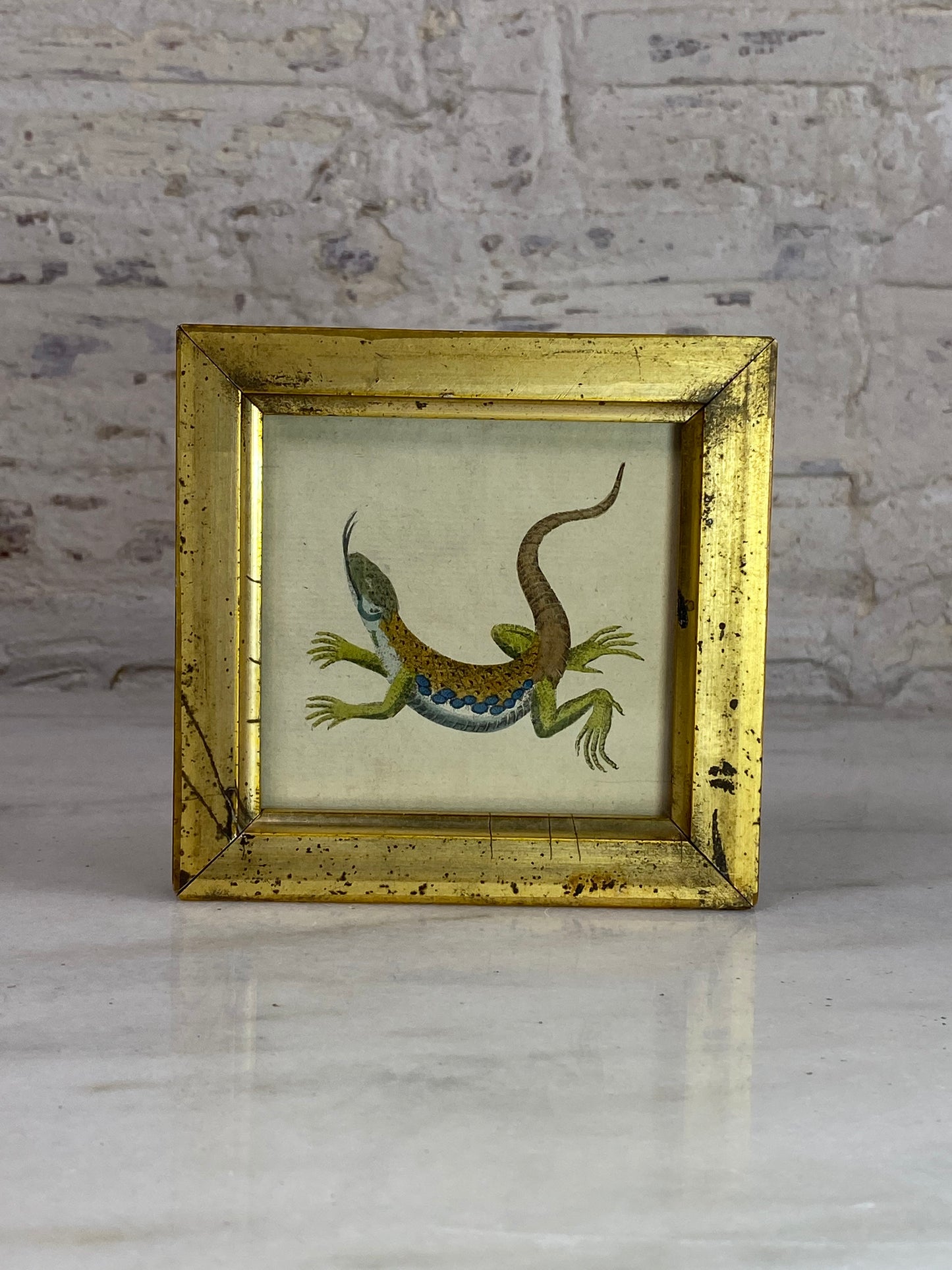 Antique Gold Gilded Framed Lizard Illustration, 1786